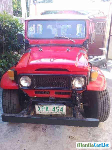 Toyota FJ Cruiser Manual 2010 - image 2