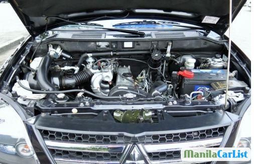 Picture of Mitsubishi Adventure in Aklan