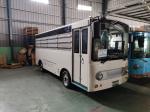 JEX E101 PUV Automatic 2026